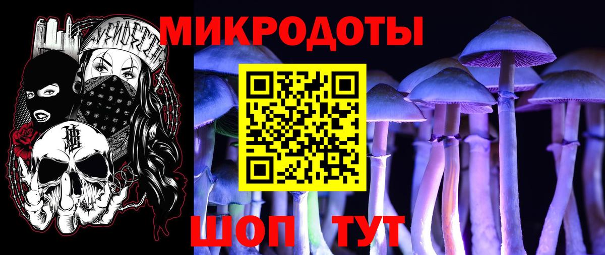 Галлюциногенные грибы мухоморы  Вход с VPN  Тавда 